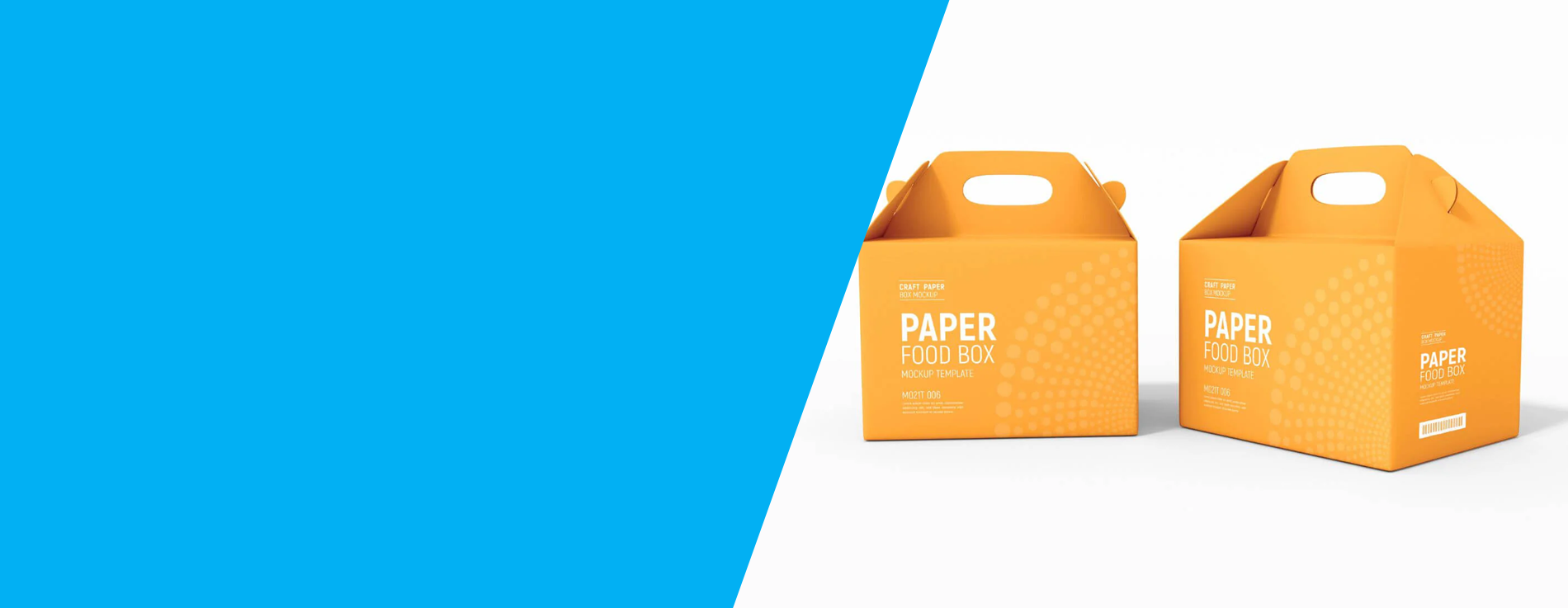 Disposable container